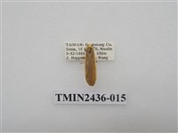 藏品(黃緣苔蛾)的圖片